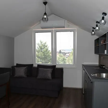 Apartment Mihail's In - 1 *