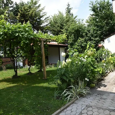 Mihail's In - 1 Apartment *